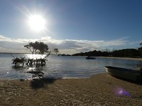 Inskip point