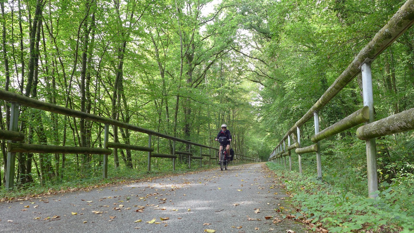 Enz Radweg