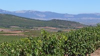 La Rioja
