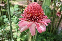 IMG_1774