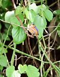 IMG_1815