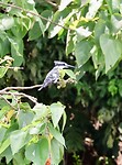 IMG_1830