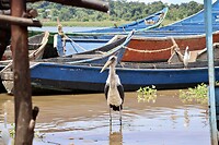 IMG_1996