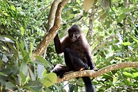IMG_2137