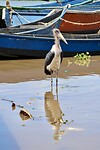 IMG_2000