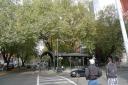 Pioneer Square