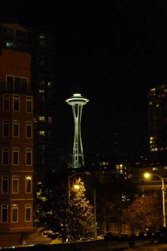Space Needle by night