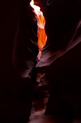 P1020955