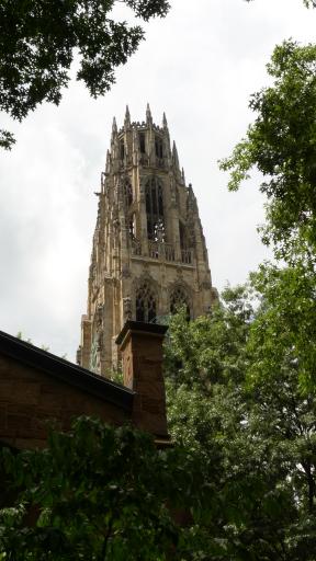 P1040955