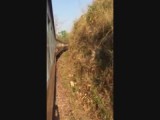 Rail