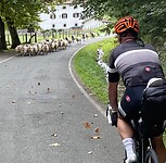 8430A3F7-734B-48E4-9932-60CA56585BE4