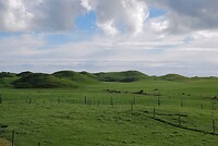 LOTR aka Teletubbie hills