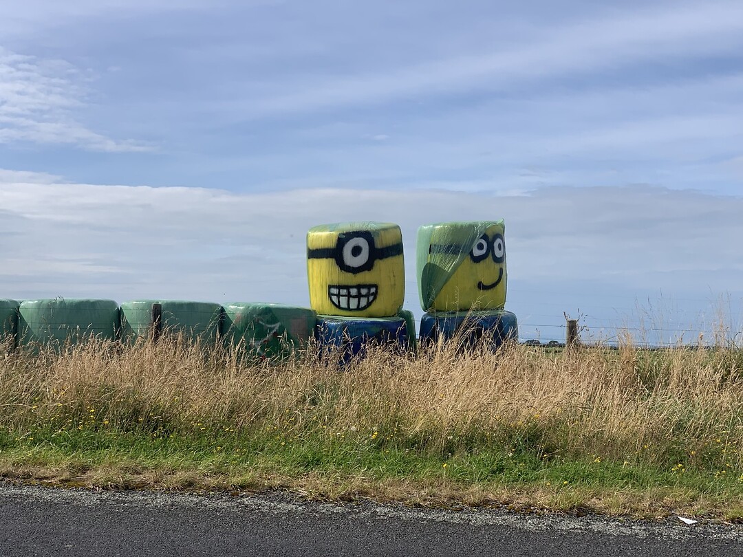 Minions