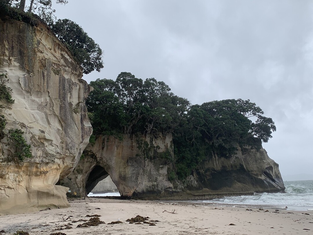 Cathedral Cove