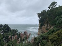 Stingray Bay