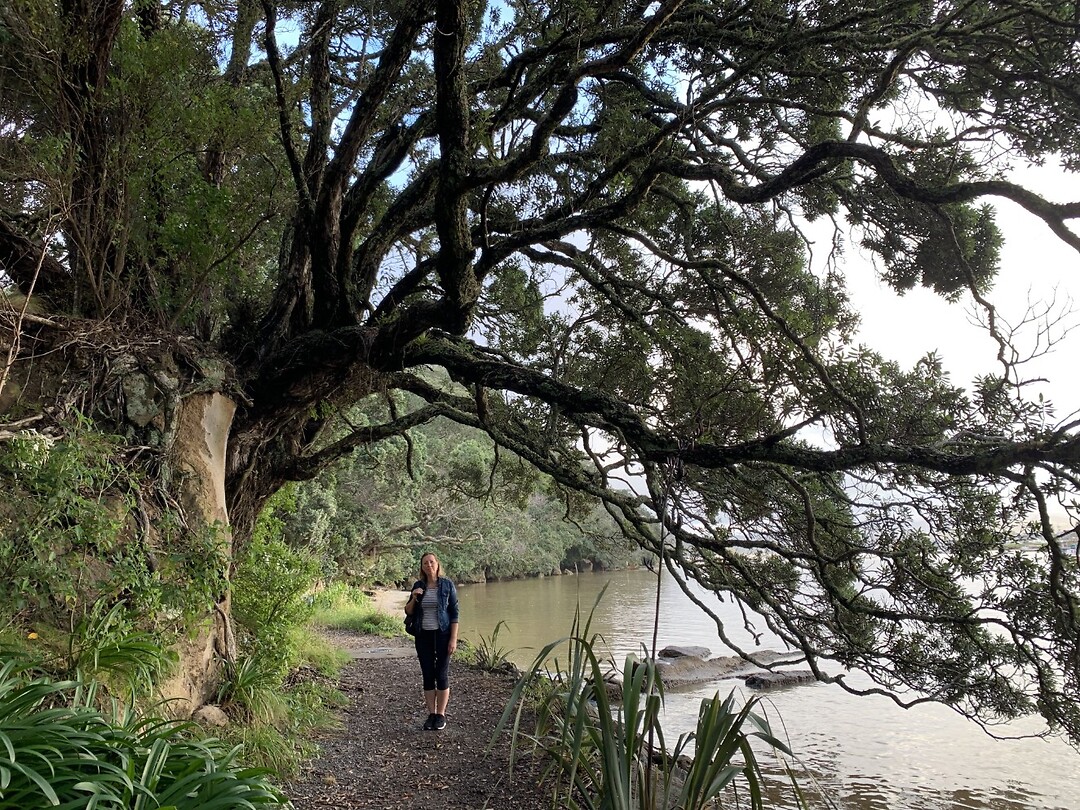 Whitianga