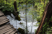 IMG_0843