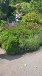 Tuin kasteel Egeskov