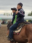 Paardenjongetjes