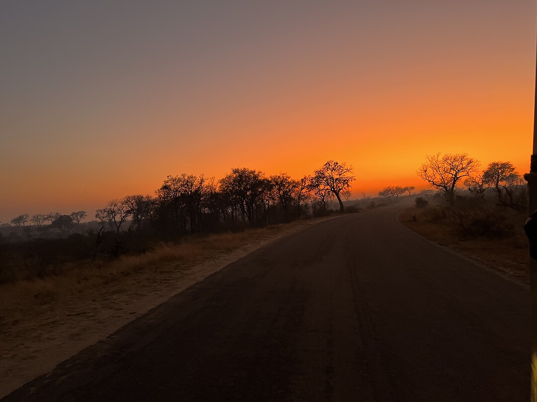 Zonsopgang bij Skukuza