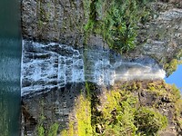 bridal veil