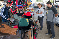_DSC3324