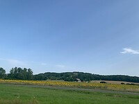 Na zonnebloem
