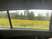 Een mooie afwisseling na een gisteren vol snelweg