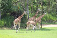 Mooi!!
