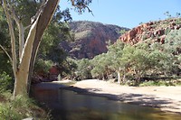 Ormiston gorge