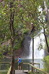Wangifalls