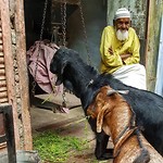 IMG_20180314_204018_634