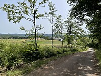 4061920E-7F98-4037-971F-CBD06DAEB2D9