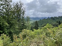 294D8363-3FF3-4012-8704-E606AEB00851