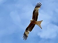 1DC07576-5BB4-4D6F-9E54-19DFC56CEDE3