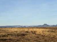 IMG_0230