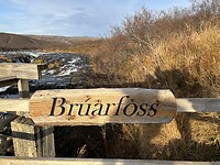 IMG_0166