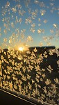 IMG_7325