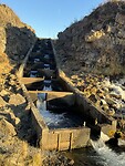 IMG_1996