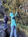 IMG_0409