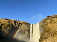 IMG_0481