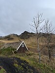 IMG_0574