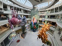 IMG_5823