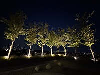 IMG_4481