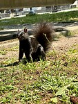 IMG_4524