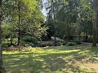 IMG_5885