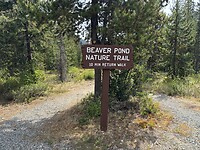 IMG_5965