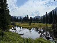 IMG_5966