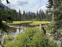 IMG_4624