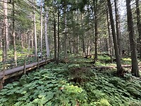 IMG_6160